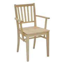 Eureka Aino Lakattu Koivu Seniorituoli