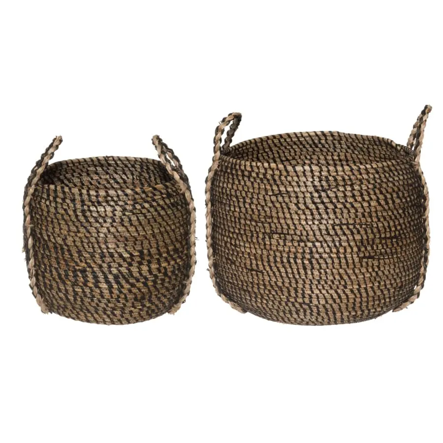 4Living Max Kori 3 4Living Max Kori