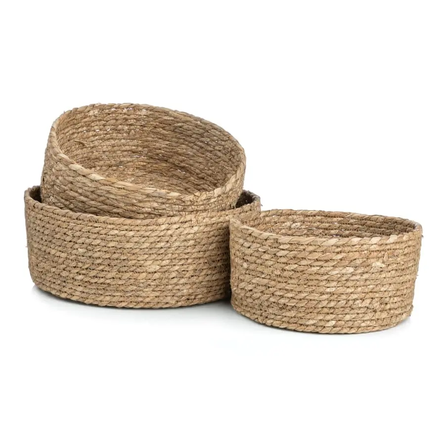 Aina Fanni Meriheinäkori 4 Aina Fanni Meriheinäkori - Image 2