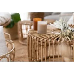 Aina Anna Rottinkipöytä/rahi 10 Aina Anna Rottinkipöytä/rahi -Huonekalut myymälä 6438014255293 4