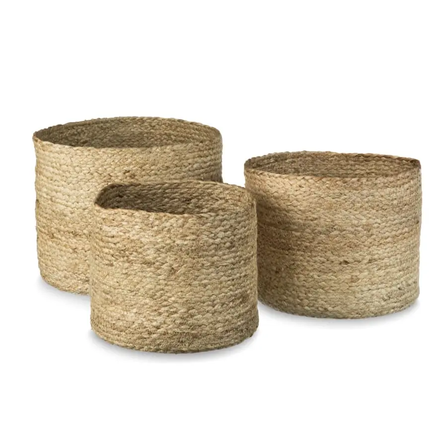 Aina Aavatar Kori 4 Aina Aavatar Kori - Image 2