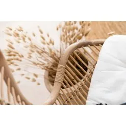 Aina Rauha Rottinkituoli -Huonekalut myymälä 6438014278636 4