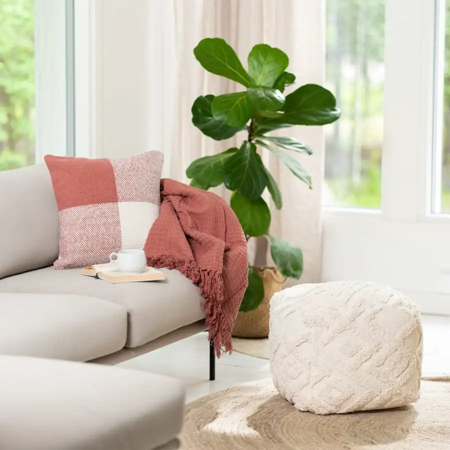 Aina Lumi Rahi 5 Aina Lumi Rahi - Image 3