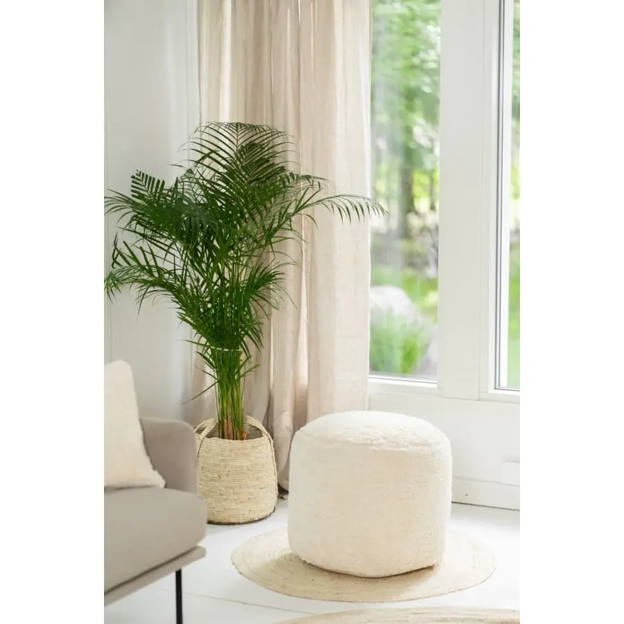 Aina Vilja Rahi 6 Aina Vilja Rahi - Image 4